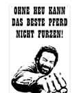 Bud Spencer Blechschild Pferd Faust 20 x 30 cm