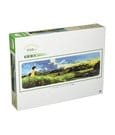 Mein Nachbar Totoro Panorama Puzzle Sunset (950 Teile)
