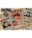 One Piece Puzzle 1000 Teile Wanted