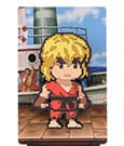 Street Fighter 2 FiGGYZ Magnet-Sammelfigur Ken 11 cm