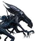 Alien Actionfigur 1/6 Alien Queen 53 cm