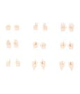Megami Device M.S.G 09 Zubehör Set 1/1 Hand Set Skin Color A