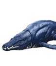 Jurassic World: Survival Actionfigur Wild Roar Brachauchenius