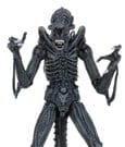 Aliens Ultimate Actionfigur Warrior (1986) Blue 23 cm