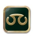 Final Fantasy XIV Job Ansteck-Button Scholar