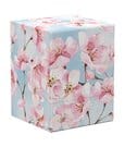 Ultimate Guard RTE Boulder 100+ Floral Places - Cherry Blossom