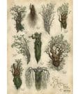 Herr der Ringe Kunstdruck Ent's of Fangorn Forest 59 x 30 cm