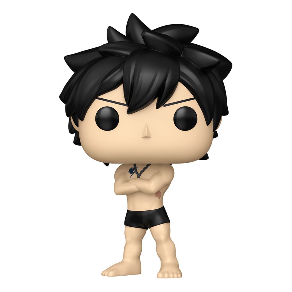 Fairy Tail 100 Year Quest POP! Animation Vinyl Figuren Gray w/Chase 9 cm Sortiment (6)