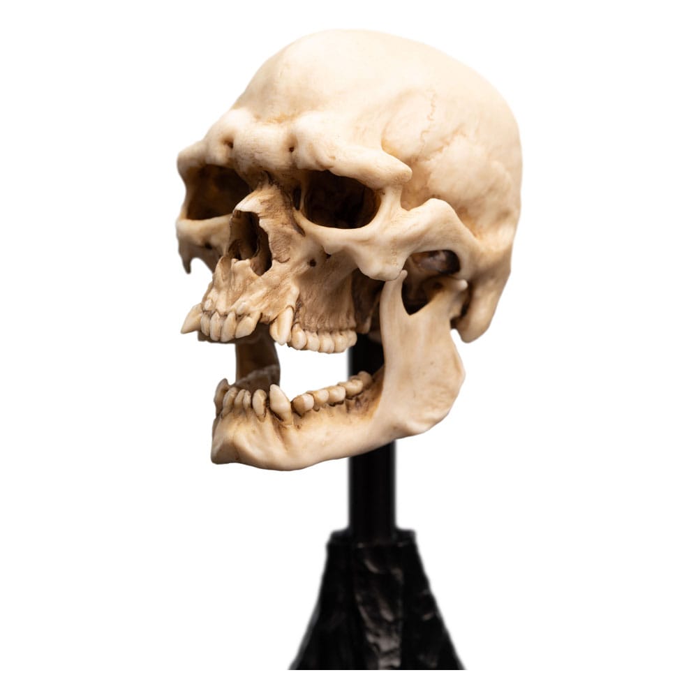 Herr der Ringe Mini Statue Skull of a Mordor Orc 14 cm
