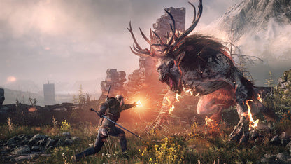 Witcher wild hunt – Produktbild