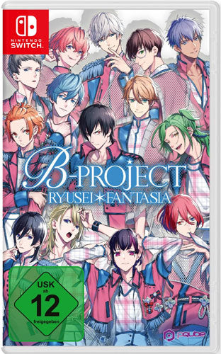 B Project Switch