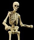 Epic H.A.C.K.S. Actionfigur 1/12 Skeleton Blank Classic Bone