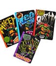 Teenage Mutant Ninja Turtles 4er-Pack Notizbücher