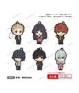 The Fragrant Flower Blooms with Dignity The Box Gummi-Schlüsselanhänger 6 cm Blind Box Display (8)