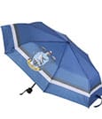 Harry Potter Regenschirm Ravenclaw