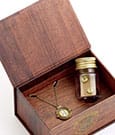Harry Potter: Hermoine Potions Time Turner Halskette und Ohrringe Geschenkset (Goldfarben)