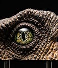 Jurassic Park 1/1 Replik Velociraptor Eye 23 cm
