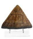 Jurassic Park Statue Triceratops Spike Prop (Reproduction) 19 cm