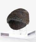 Jurassic Park 1/1 Replik Triceratops Toenail 16 cm