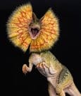 Jurassic Park Maquette 1/3 Dilophosaurus 62 cm