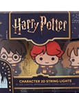 Harry Potter Lichterkette 2D Letter of Acceptance & Hedwig