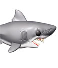 Der weiße Hai Oversized POP! Movies Vinyl Figur Jaws 15 cm