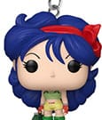 Dragon Ball POP! Vinyl Schlüsselanhänger 4 cm Lunch Display (12)
