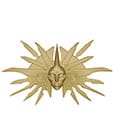 Dungeons & Dragons Medaille Lady of Pain Limited Edition