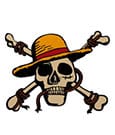 One Piece Medaille Jolly Roger Limited Edition
