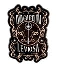 Harry Potter Magnet Wingardium Leviosa