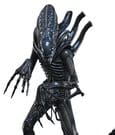 Alien Movie Masterpiece Actionfigur 1/6 Alien Warrior 39 cm