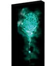 Harry Potter Canvas Poster (With Light)