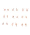 Megami Device M.S.G. Zubehör-Set für Plastic Model Kits 09 Hand Set Skin Color C