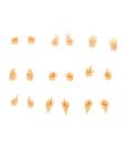 Megami Device M.S.G. Zubehör-Set für Plastic Model Kits 09 Hand Set Skin Color D