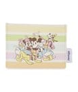 Disney by Loungefly Karten-Etui Mickey and Friends Rainbow Stripes
