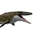 Jurassic World: Rebirth Actionfigur Bite 'n Blast Mosasaurus 65 cm