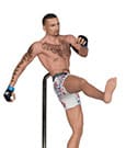 UFC Posed PVC Statue Max Holloway 18 cm