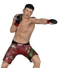 UFC Posed PVC Statue Brandon Moreno 16 cm