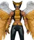 DC Multiverse McFarlane Collector Edition Actionfigur Hawkgirl (Kendra Saunders) 28 cm