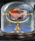 Harry Potter Replik Der Stein der Weisen