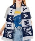 Harry Potter Schal Ravenclaw
