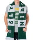 Harry Potter Schal Slytherin