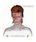 David Bowie Rock Saws Puzzle Aladdin Sane (500 Teile)
