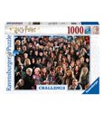 Harry Potter Challenge Puzzle Cast (1000 Teile)