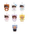 Detektiv Conan Plüschfiguren Bear Detective Series Blind Box 15 cm Display (6)