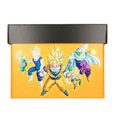 Dragon Ball Z Archivierungsbox Characters 40 x 21 x 30 cm