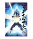 Dragon Ball Super 3D Poster Survival Vegeta 38 x 58 cm