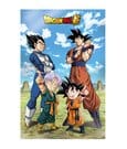 Dragon Ball Super 3D Poster Battle of Gods Goku Vegeta Family 38 x 58 cm