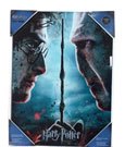Harry Potter Glasposter Harry & Voldemort 30 x 40 cm