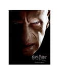 Harry Potter Glasposter Voldemort 30 x 40 cm
